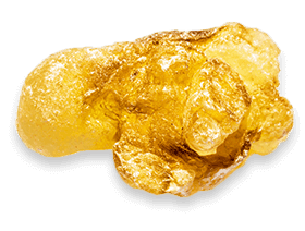Boswellia Serrata ingredient visual