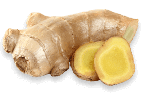 Ginger Root ingredient visual